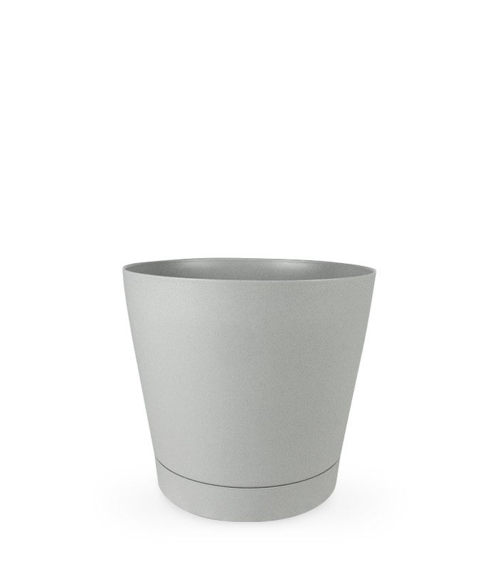 Filodendro Monstera Monkey Mask