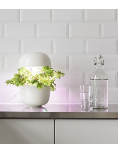 Plantui 3e Smart Garden