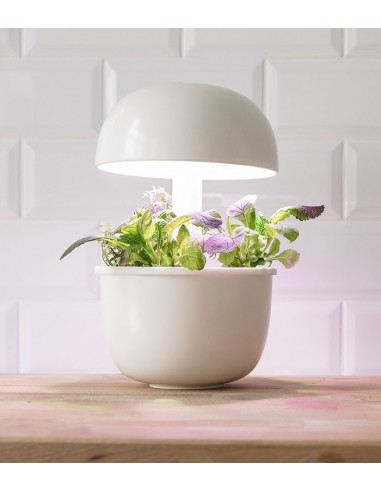 Plantui 3e Smart Garden