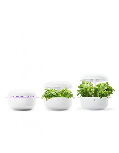 Plantui 6 Smart Garden Bianco