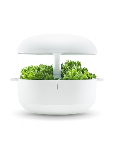 Plantui 6 Smart Garden Bianco
