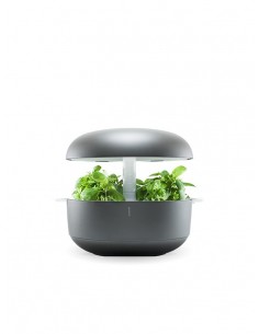 Plantui 6 Smart Garden Grigio