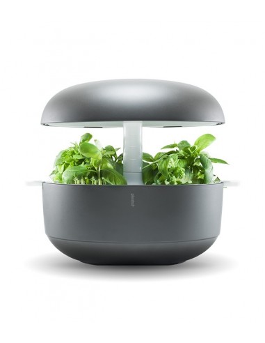 Plantui 6 Smart Garden Grigio