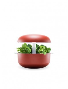 Plantui 6 Smart Garden Rosso
