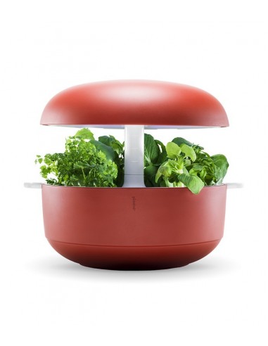 Plantui 6 Smart Garden Rosso