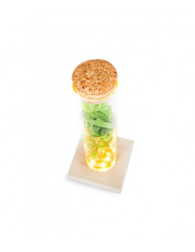 Singonio in vetro con led