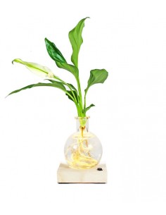 Spatifillo Sfera con led