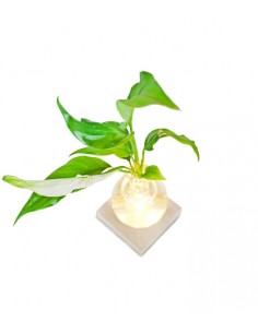 Spatifillo Sfera con led 2