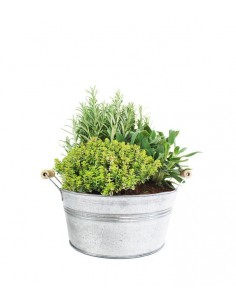 Tris rosmarino, timo limone...