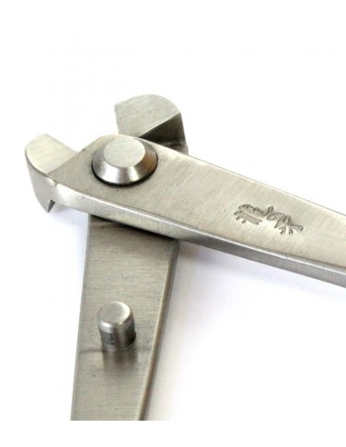 Tronchese filo giapponese