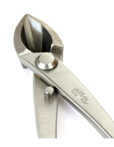 Tronchese taglio concavo Giapponese