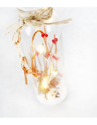 Vasetto luminoso con bacche