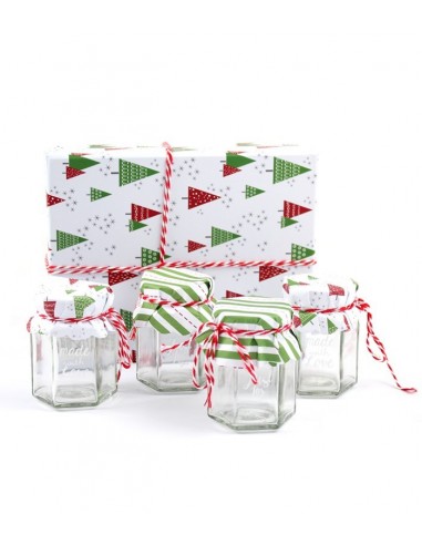 Vasi natalizi in scatola regalo