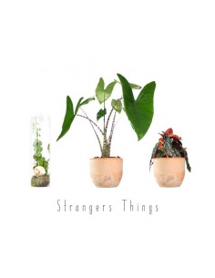 Stranger things Pack