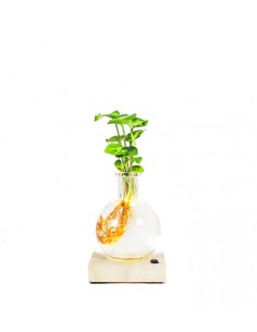 Syngonium sfera con led