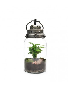 Lanterna terrarium con led