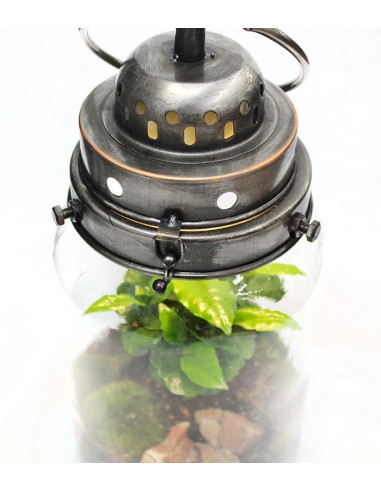 Lanterna terrarium con led Lanterna terrarium con led