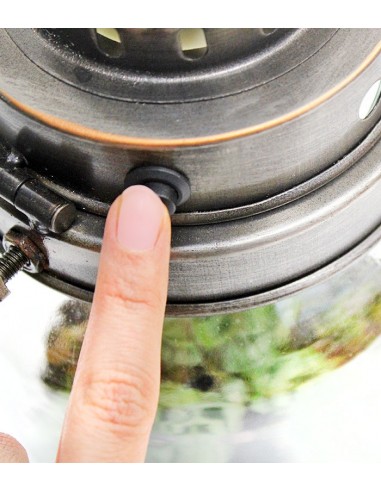 Lanterna terrarium con led Lanterna terrarium con led