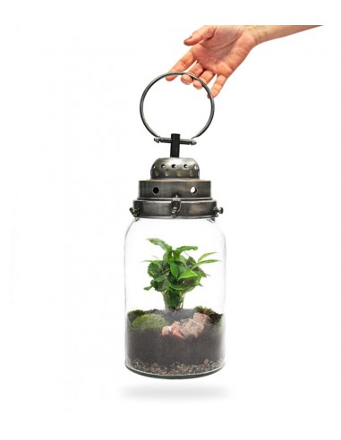 Lanterna terrarium con led Lanterna terrarium con led