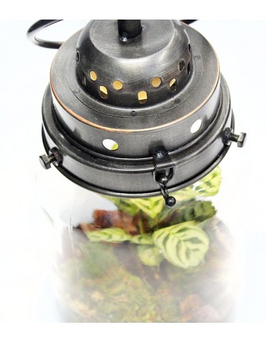 Lanterna terrarium con led Lanterna terrarium con led