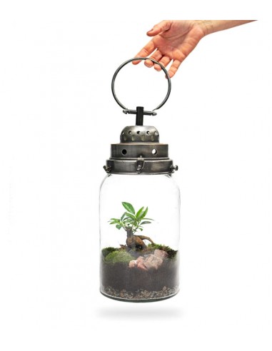 Lanterna terrarium con led Lanterna terrarium con led