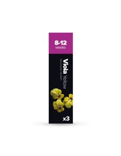 CAPSULA 3X Viola Gialla