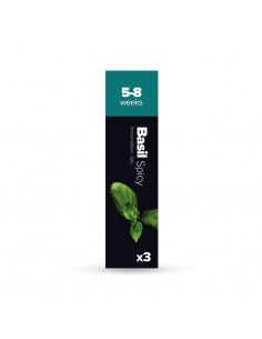 CAPSULE 3X Basilico Piccante