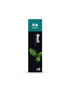 Capsule 3X Basilico PLANTUI