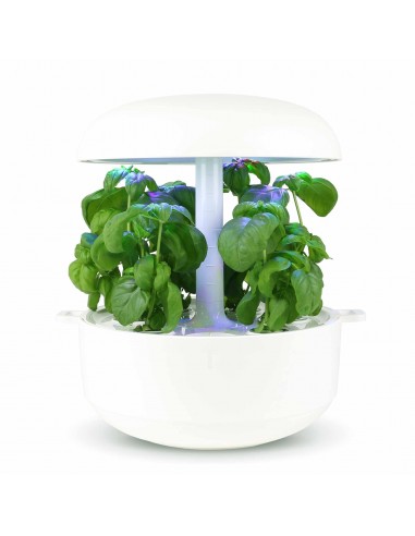 Capsule 3X Basilico PLANTUI