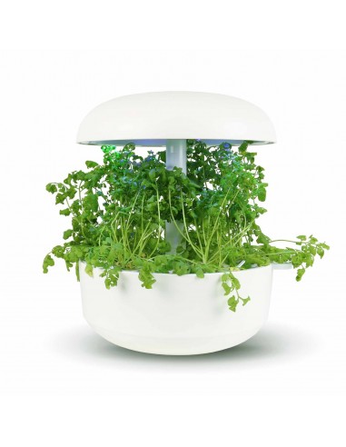 CAPSULE 3X Crescione dei Giardini