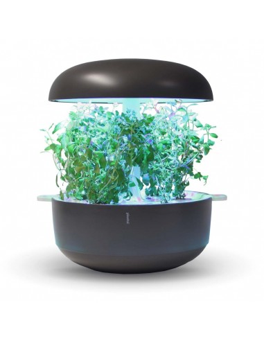 CAPSULE 3X Maggiorana