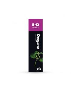 Capsule 3X Origano PLANTUI