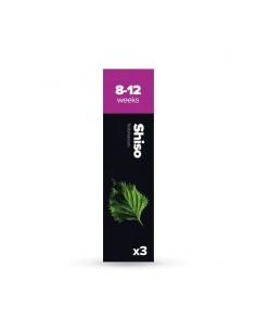 CAPSULE 3X Shiso