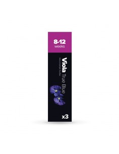CAPSULE 3X Viola Blu