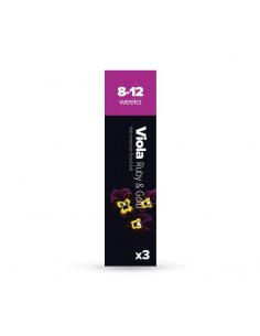 CAPSULE 3X Viola Rubino & Oro