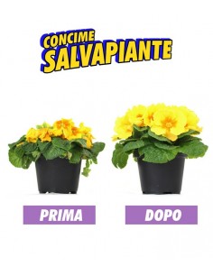 Concime salvapiante... 2