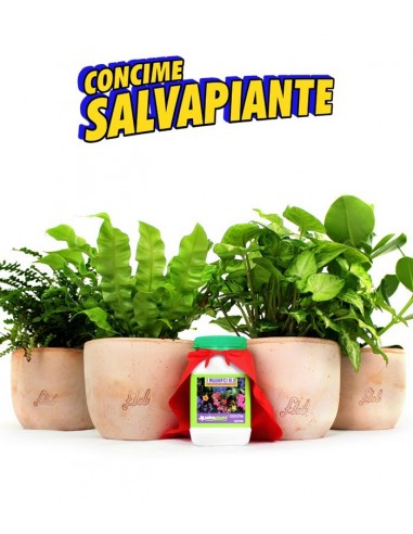 Concime salvapiante universale100g