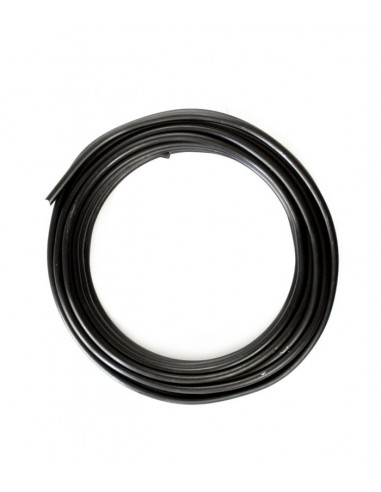 Juniperus Itoigawa Kit Juniperus Itoigawa Kit