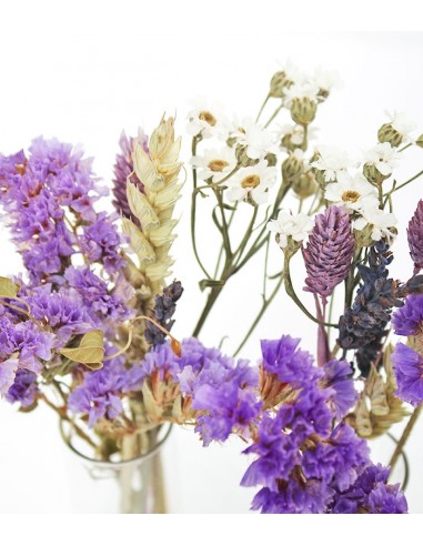 Fiori essiccati tris Fiori essiccati tris