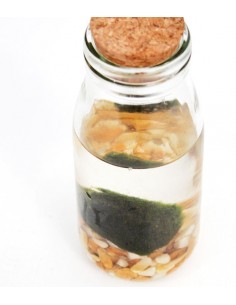 Marimo in vetro Single 2