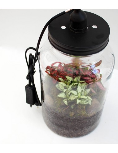 Lampada con piante verdi