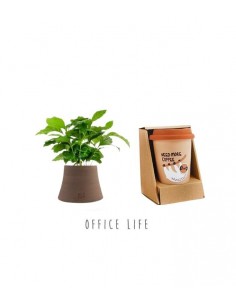 Office Pack