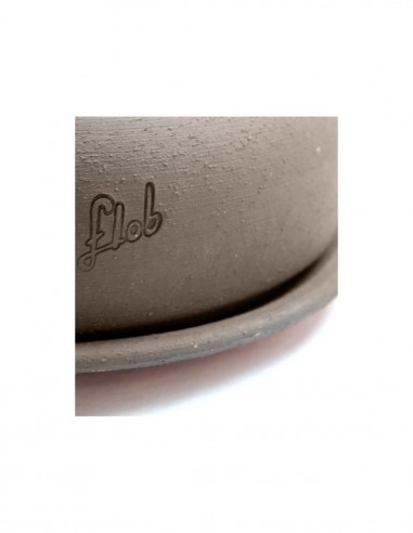 Super Pepe Bonsai Kit