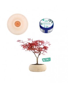 Acero rosso Kit