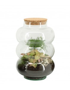 Asparagina in vetro con...