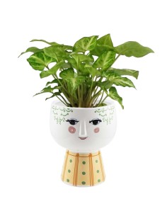 Serena  | Vasi per piante... 2