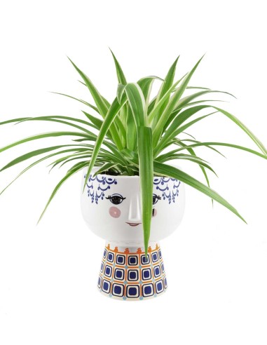 Serena  | Vasi per piante con viso