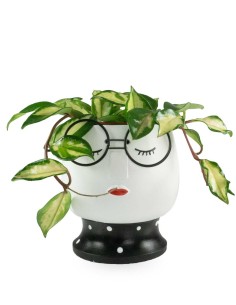 Intellettuale | Vaso per... 2