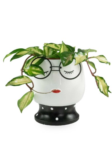 Intellettuale | Vaso per piante con...