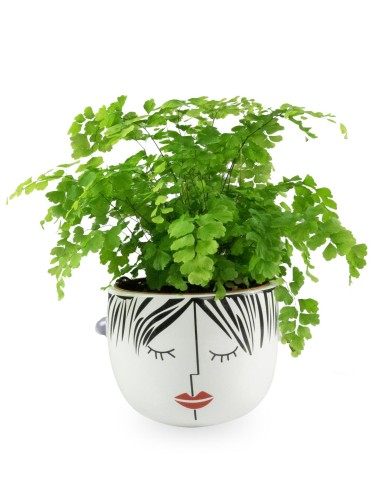 Dolce | Vaso per piante con viso...